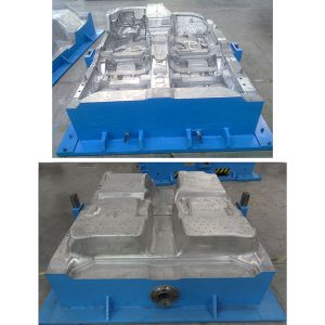 Busa karpet berjamur